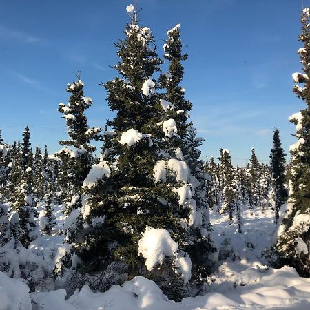 Aurora Denali Lodge Healy Eksteriør billede