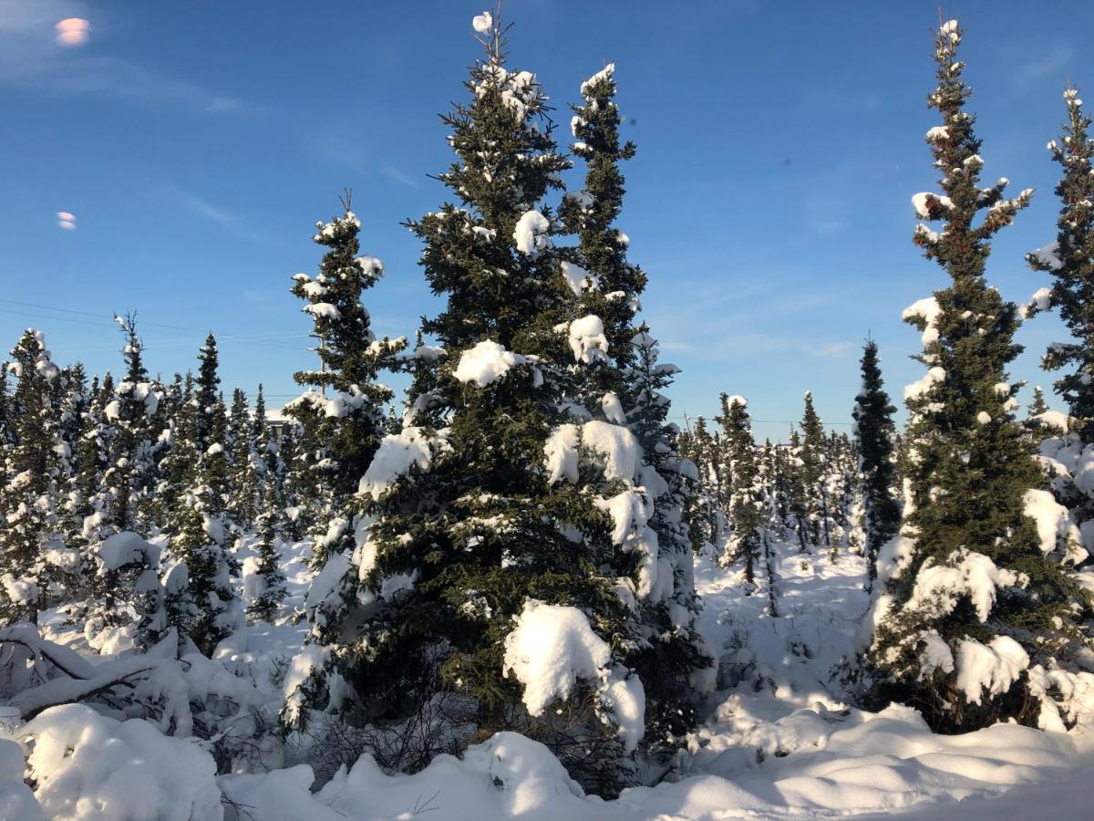 Aurora Denali Lodge Healy Eksteriør billede