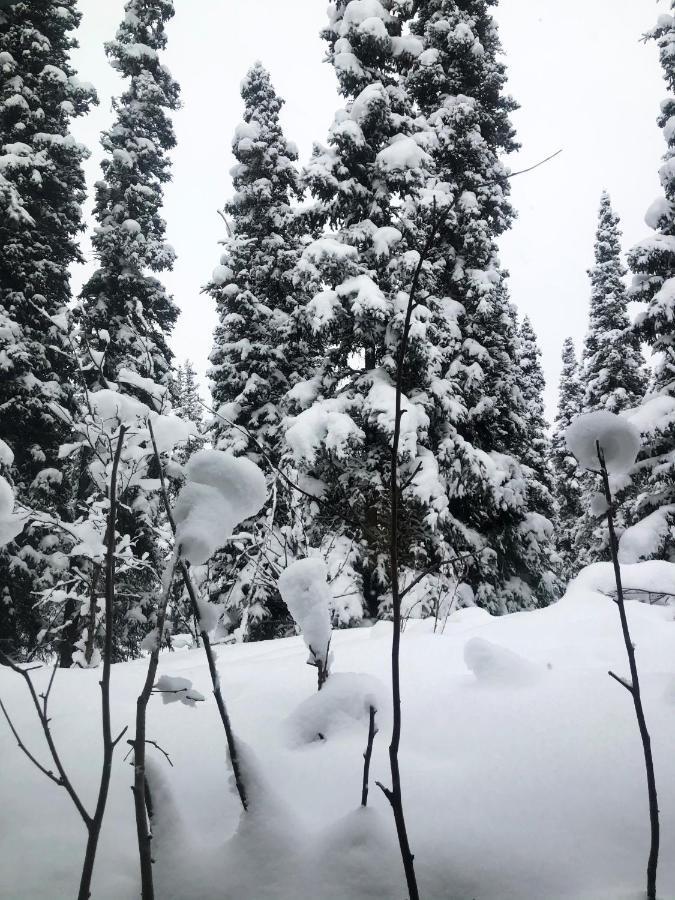 Aurora Denali Lodge Healy Eksteriør billede