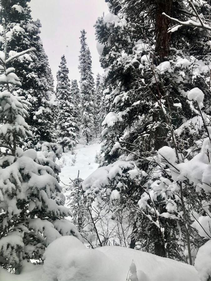 Aurora Denali Lodge Healy Eksteriør billede