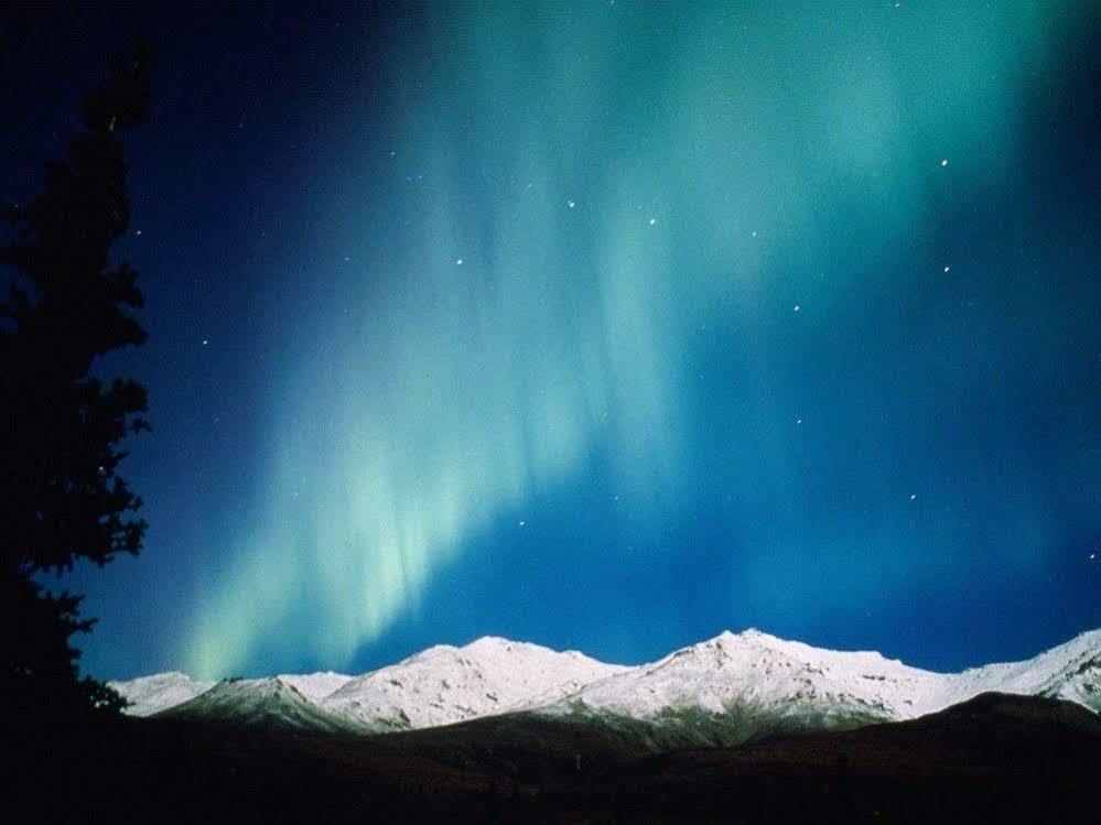 Aurora Denali Lodge Healy Eksteriør billede